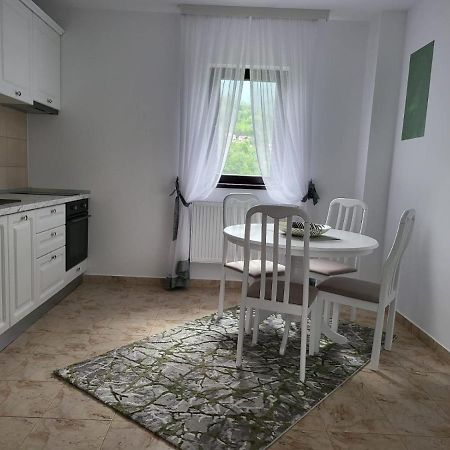 Bibis Apartments Nehoiu Exterior photo
